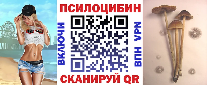 Купить  Нефтекамск  Псилоцибиновые грибы мухоморы 